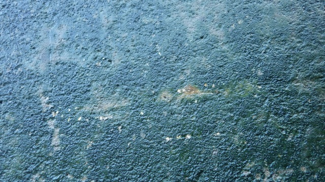 16.15 - 4.15pm - slime on the walls 9-11-15