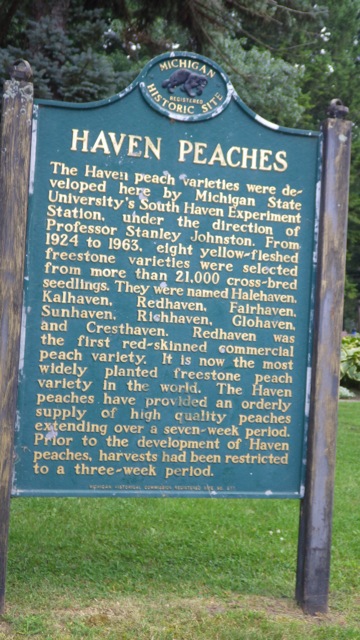 17.25 - 5.25pm - Haven peaches 09-03-15