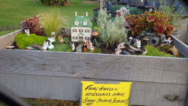 19.23 - 7.23pm - fairie garden 8-30-15