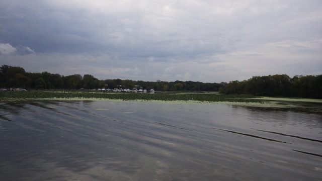 9.33am - marina?? 9-11-15