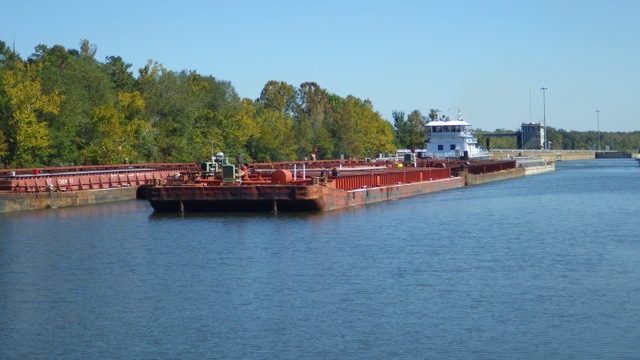 11.14am - tow going north out of Coffeeville lock 10-14-15
