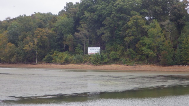 11.31am - pebble isle marina 10-03-15