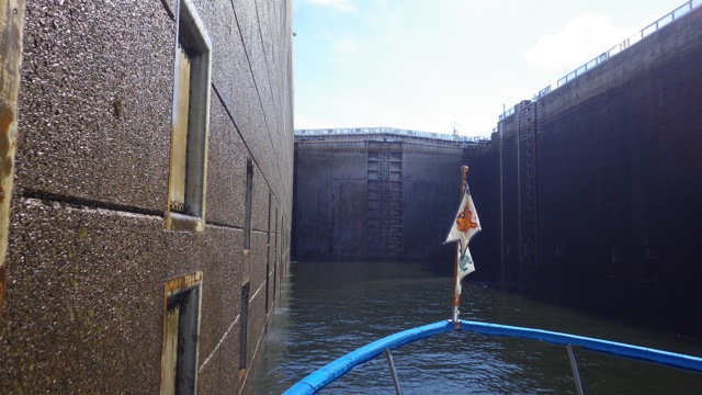 14.40 - 2.50pm - looking at backdoor at whitten lock 10-08-15
