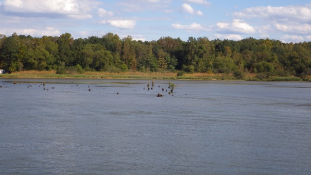 15.15 - 3.15pm - stumps! 10-08-15