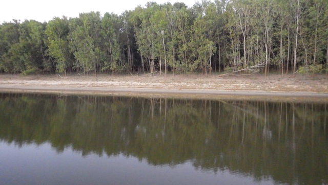 18.30 - 6.30pm - looking for eyes at anchorage 10-14-15