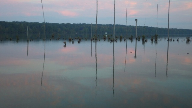 6.46am - stumps at Midway Marina 10-08-15