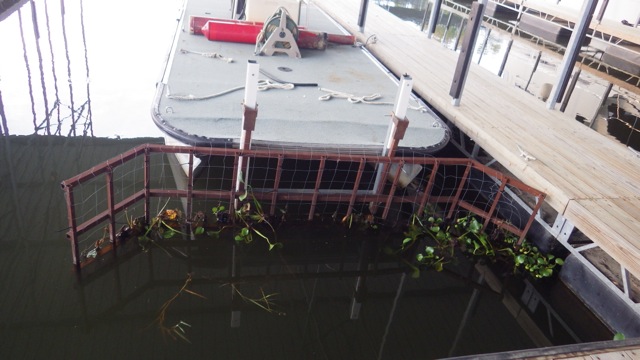 7.40am - boat with scooper for plants 10-09-15