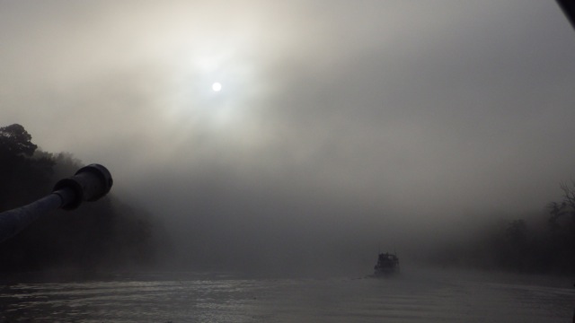 7.50am - FOG!! 10-11-15