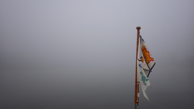 7.57am - FOG! 10-6-15