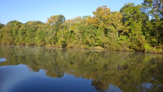 8.29am - Morning Scenery 10-14-15