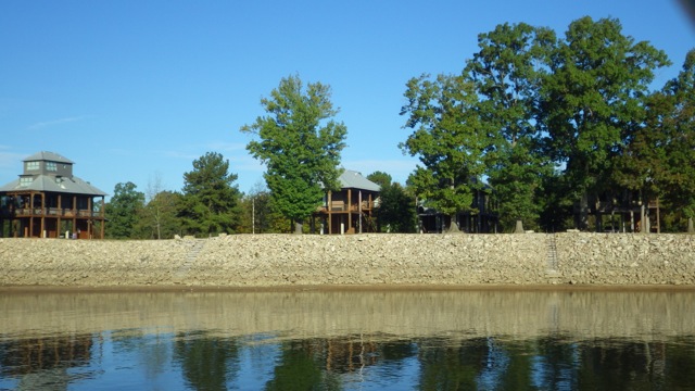 8.45am - tree houses 10-6-15