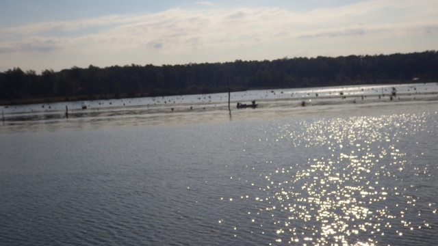 9.14am - stumps after the lock 10-08-15
