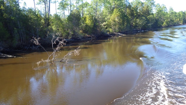 11.30am debris A inside the ditch 11-28-15