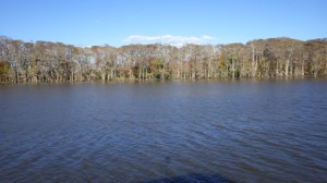 13.46pm - scenery along the ICW 11-28-15