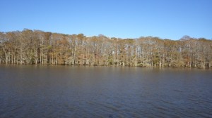 14.36pm - time change!! 11-28-15