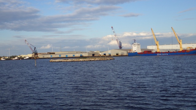 15.52 - 3.52pm - bird audubon bird island 11-12-15