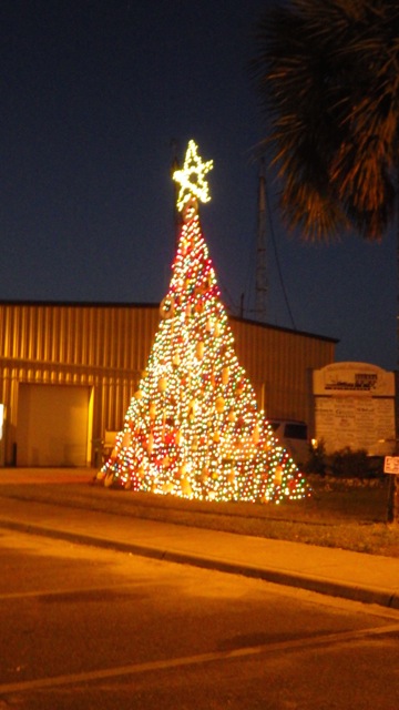 18.13 - 6.13pm - tree by night 11-28-15