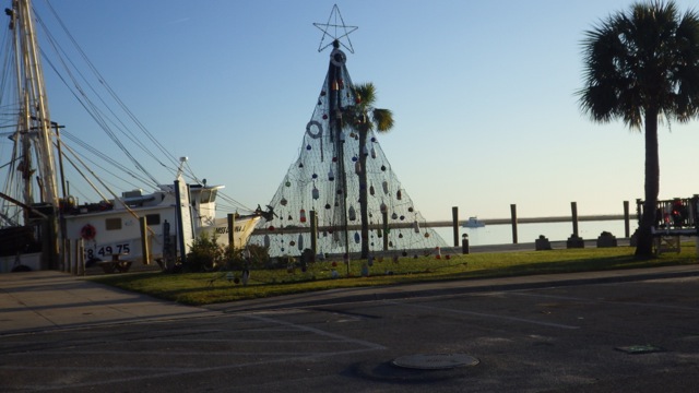 8.01am - tree by day A 11-29-15