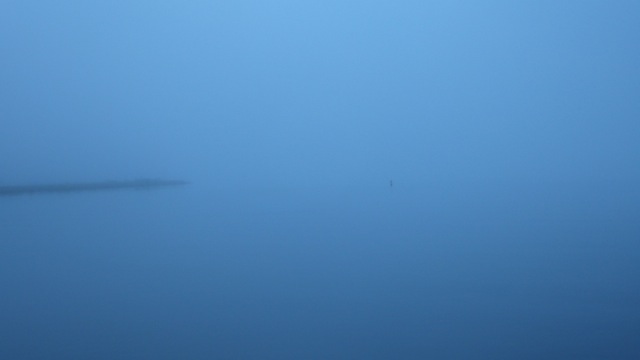 Fog - out our back door 11-02-15