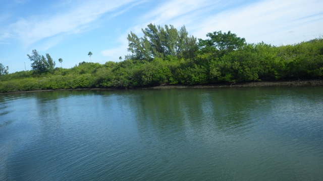 10.21am - scenery along the ICW 12-1-15