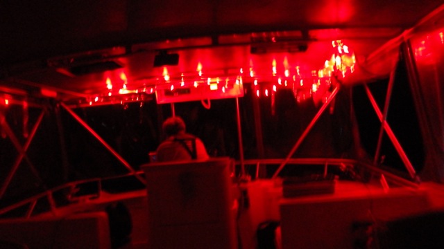 19.25 - 7.25pm - Christmas lights on the Flybridge 11-29-15